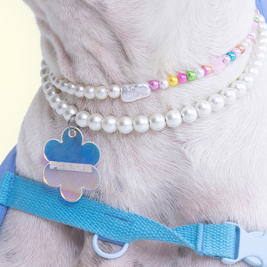 Custom Dog Tags