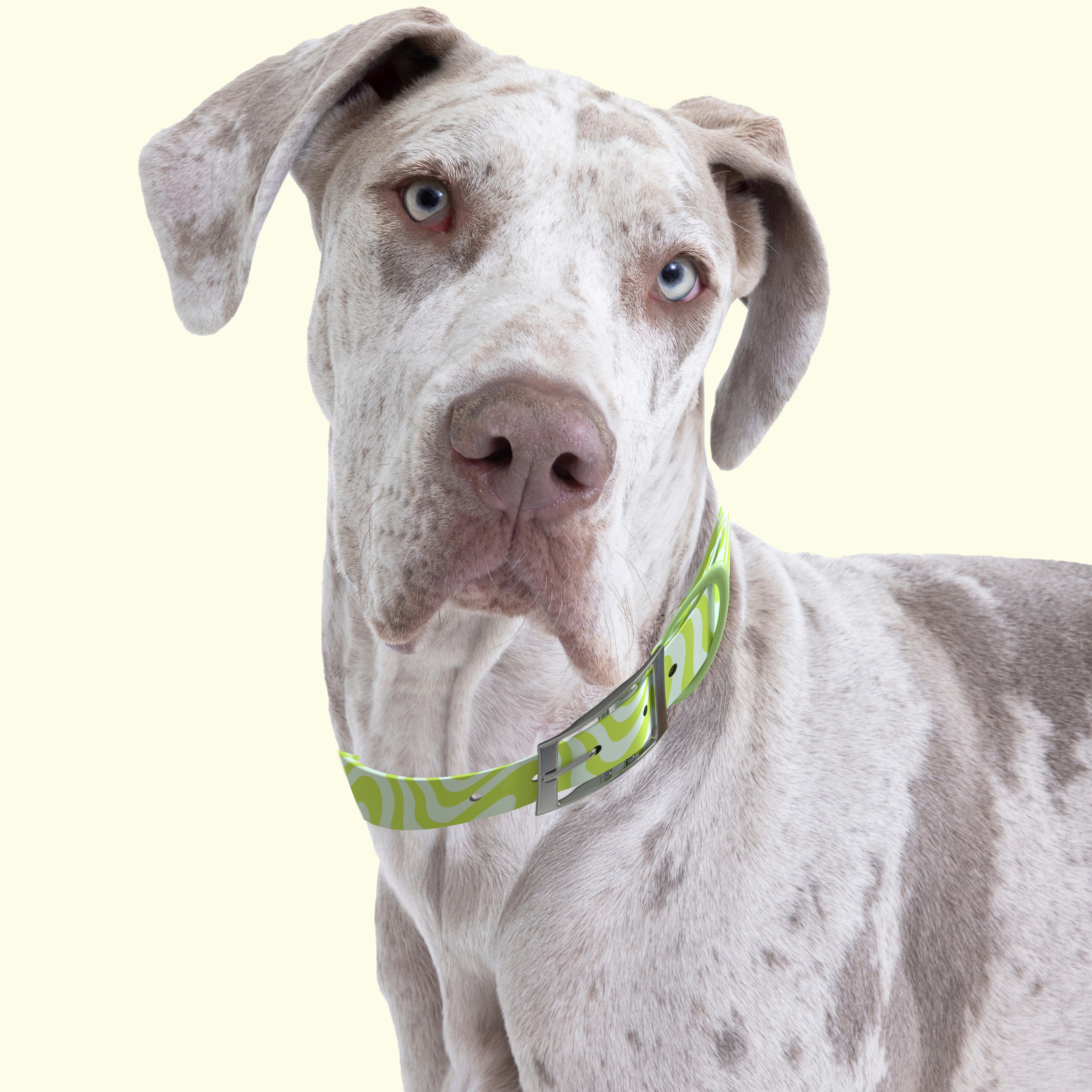 Wave Collar