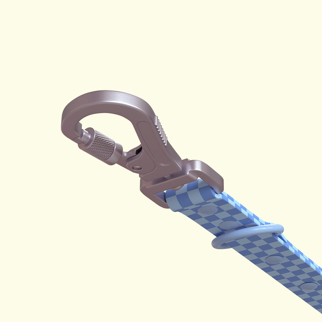 Checkered Leash