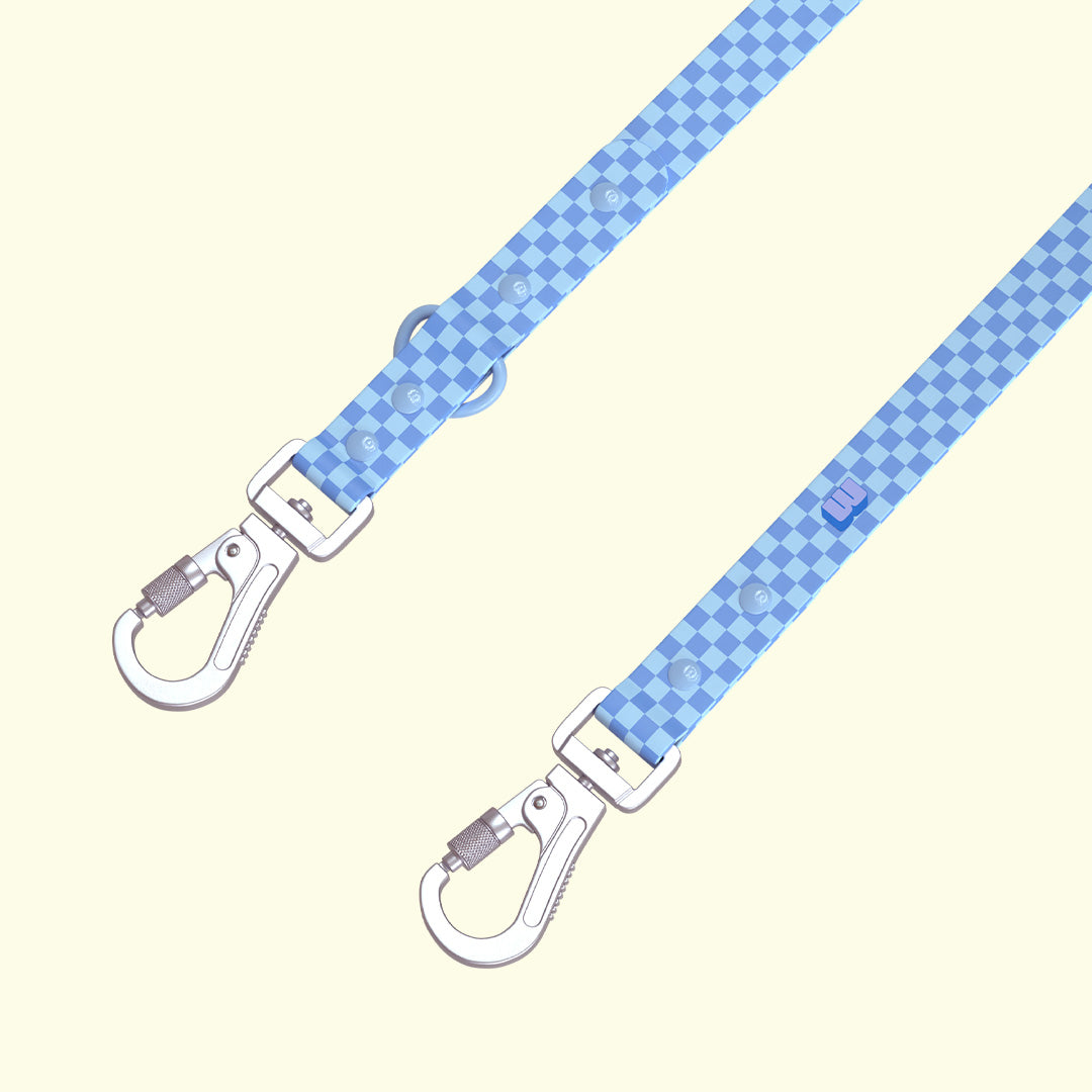 Checkered Leash