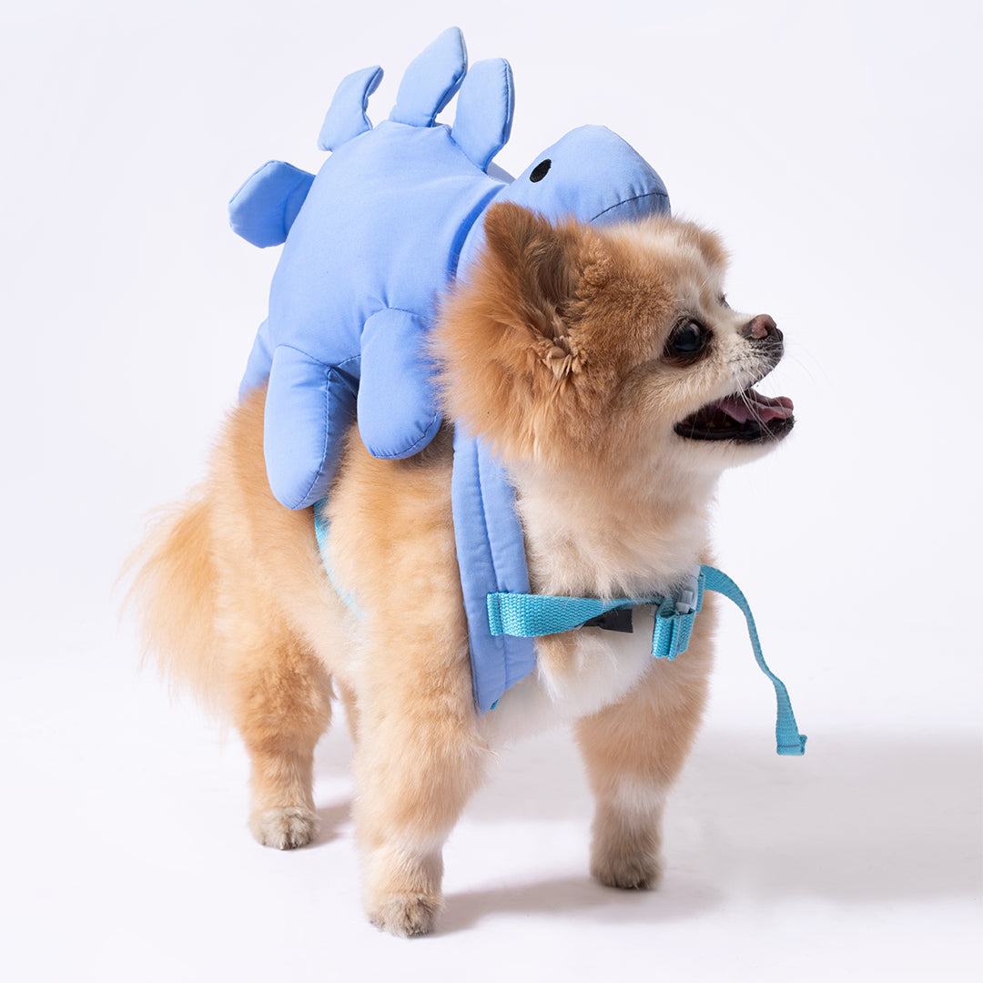 Must-Have Dog Accessories for Every Pet Parent – Waag Bag