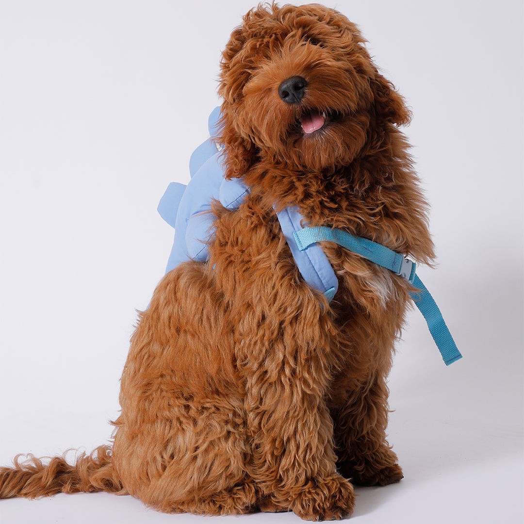 Dino Pac Mini Dog Harness & Backpack