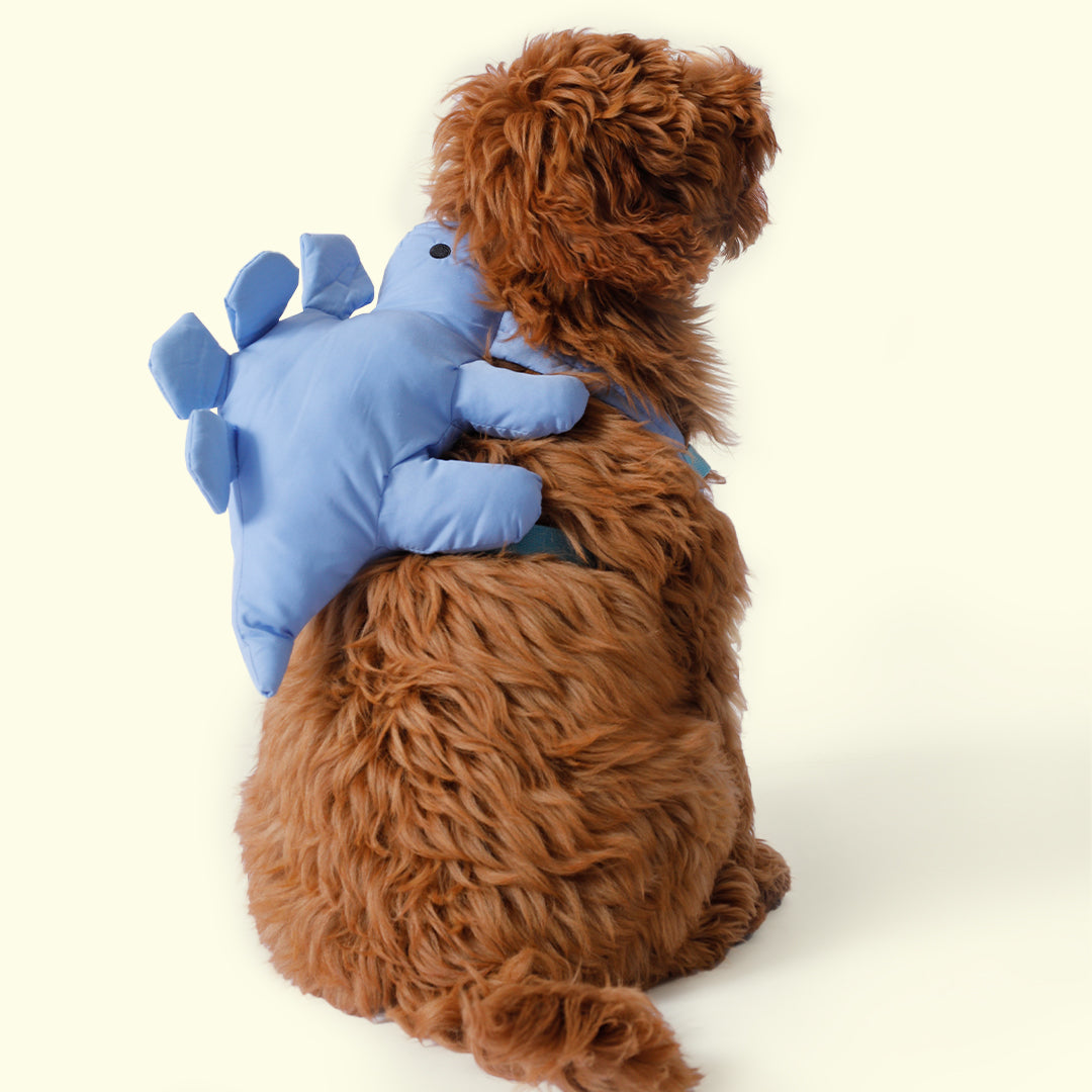 Dino Pac Mini Dog Harness & Backpack