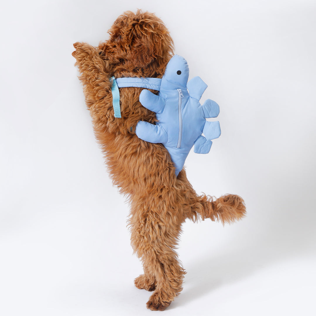 Dino Pac Mini Dog Harness & Backpack