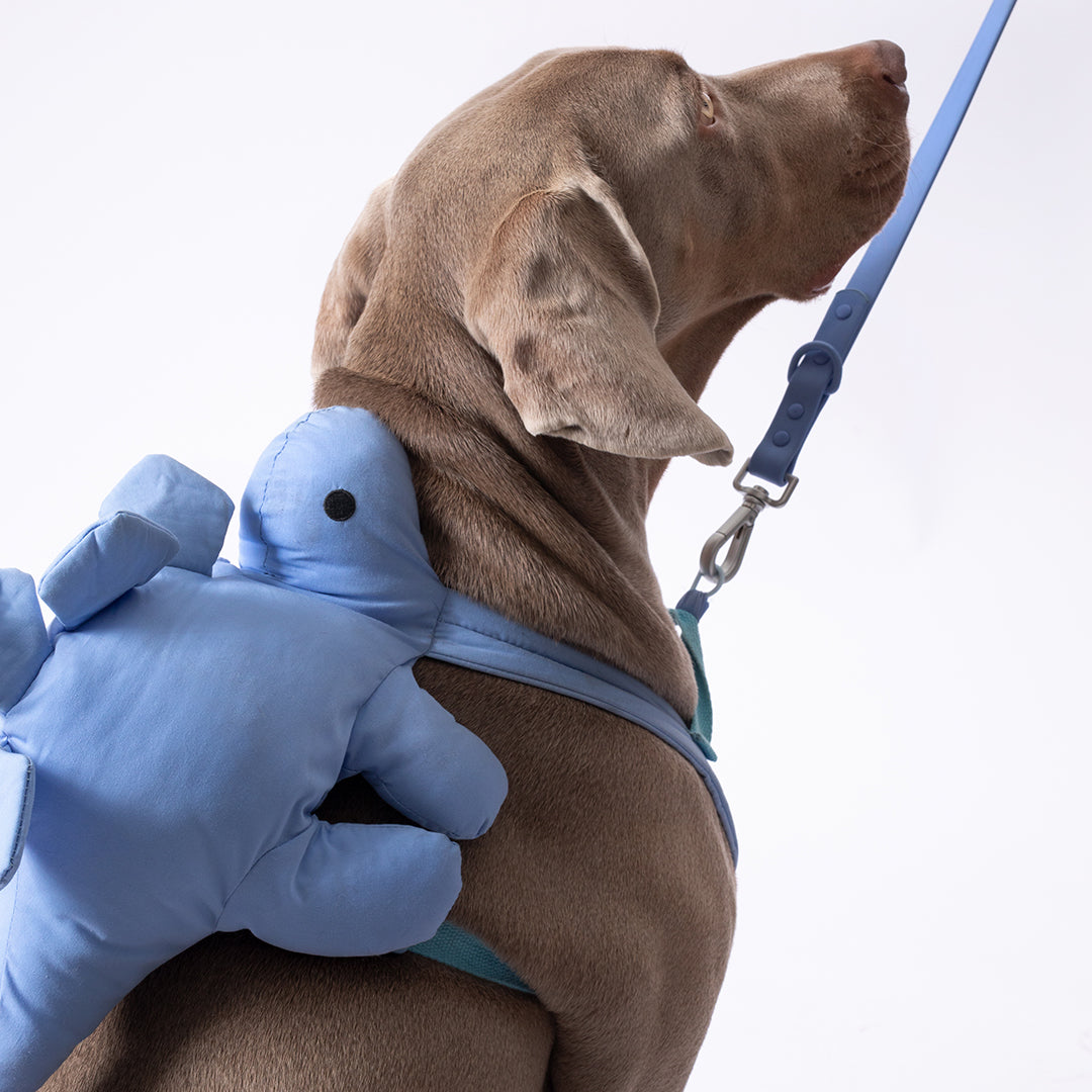 Dino Pac Mini Dog Harness & Backpack