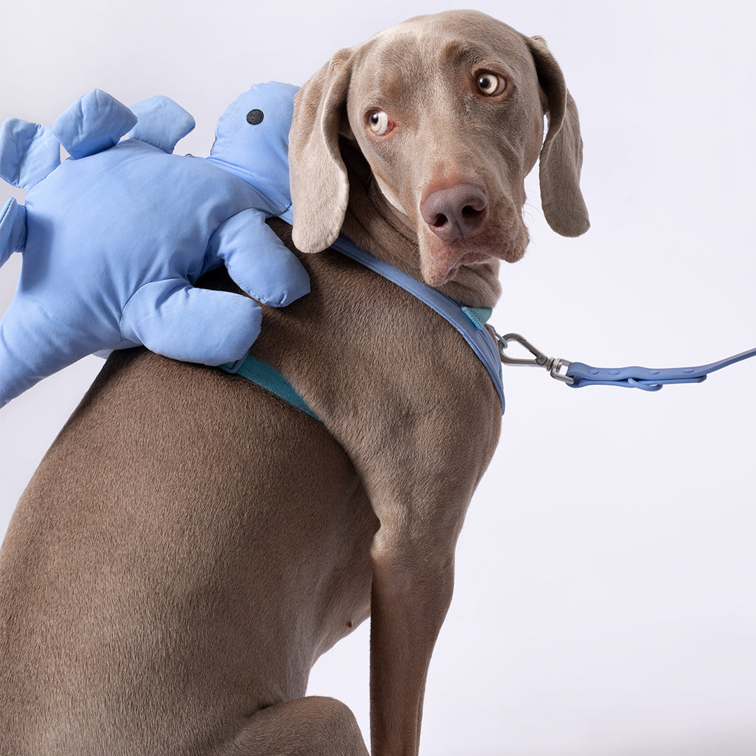 Dino Pac Mini Dog Harness & Backpack