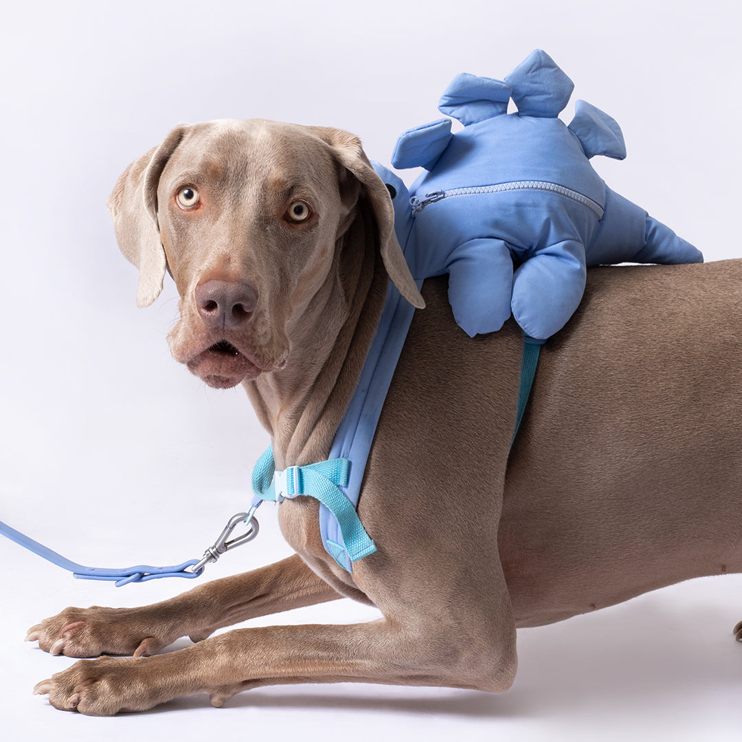 Dino Pac Mini Dog Harness & Backpack – Waag Bag