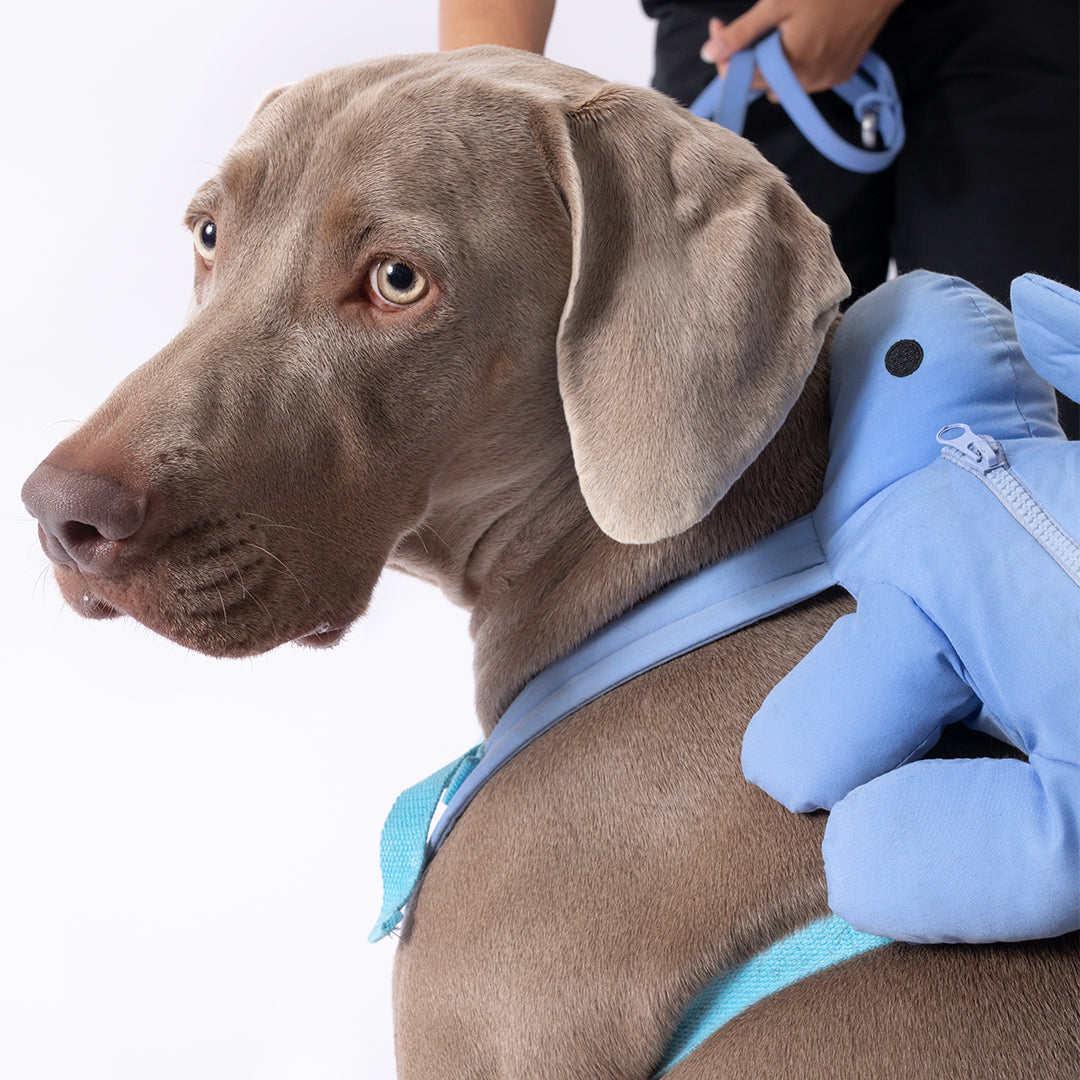 Dino Pac Mini Dog Harness & Backpack