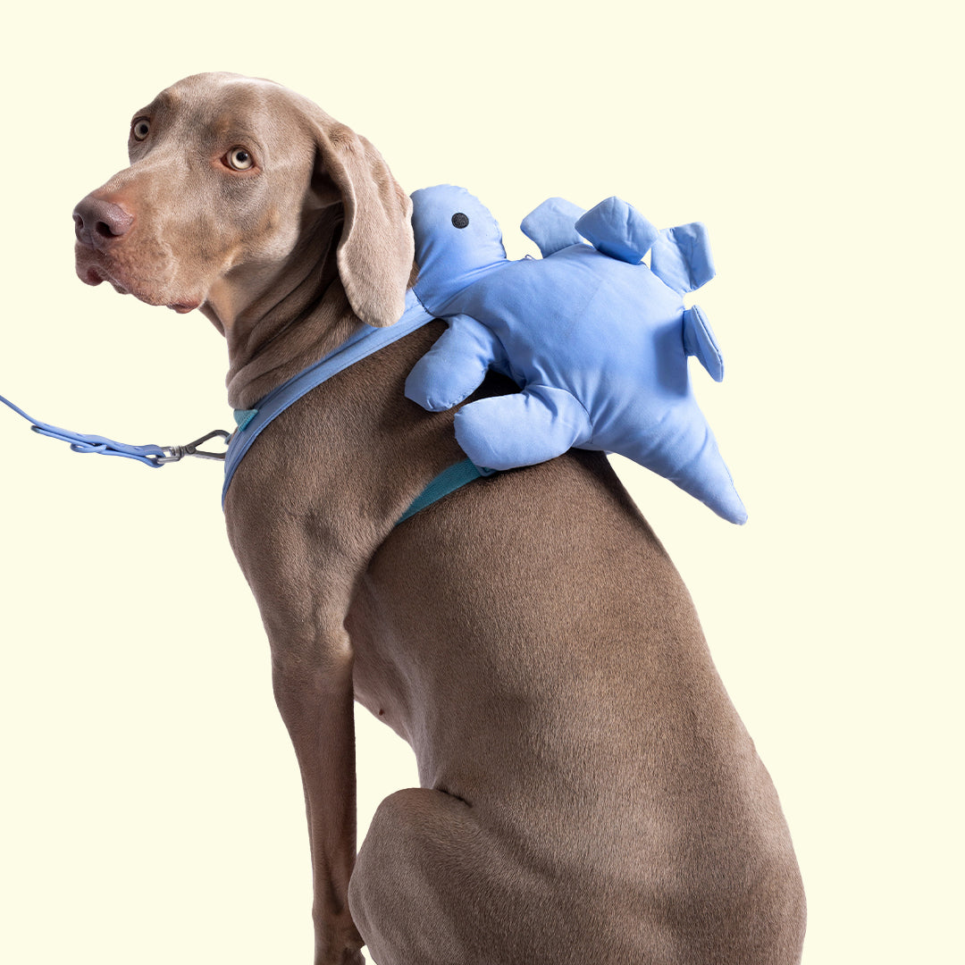 dino dog gear Dino Pac Mini Dog Harness & Backpack