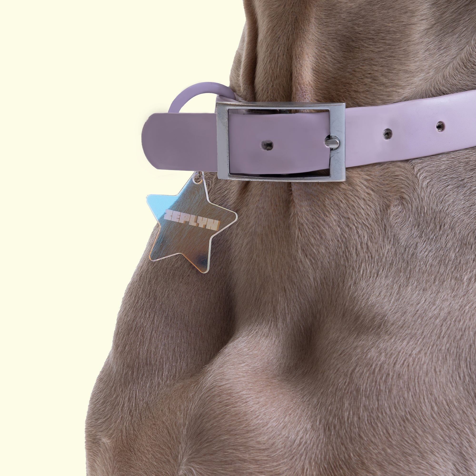 Iridescent Star Dog ID Tag