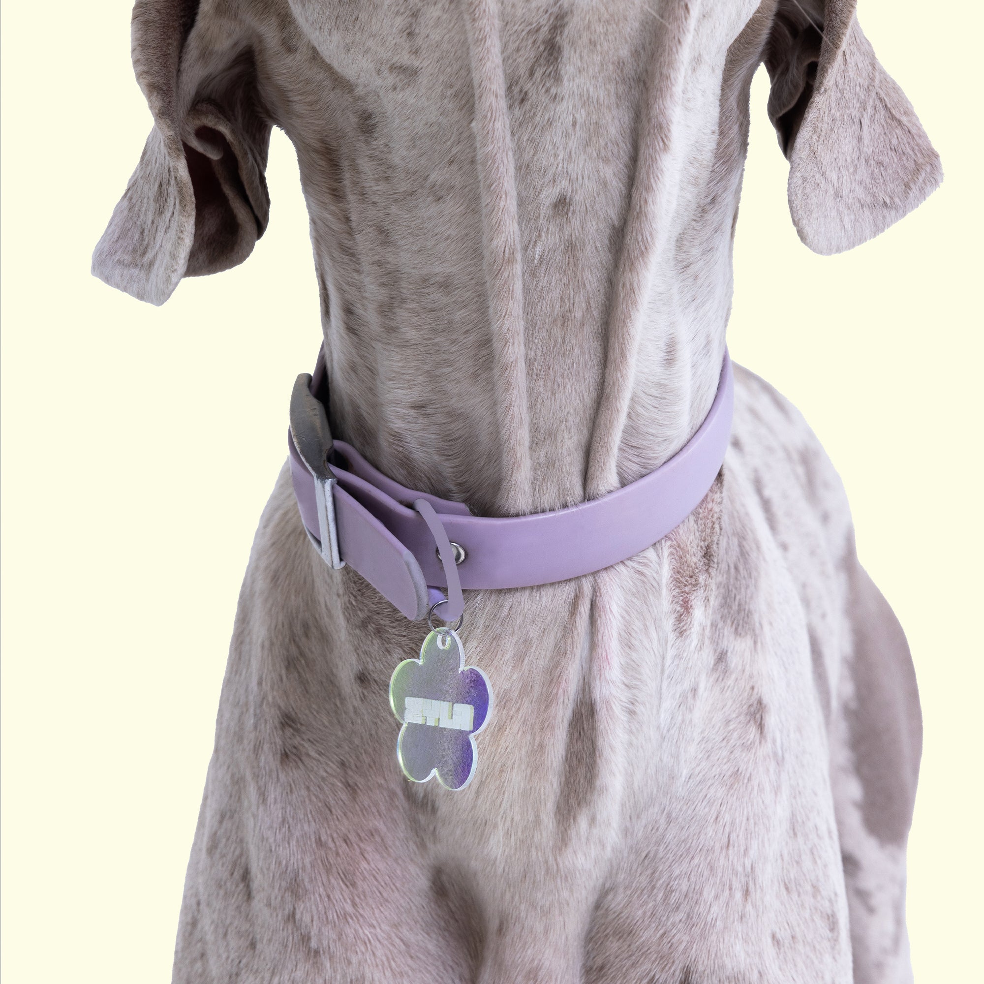 Iridescent Flower Dog ID Tag