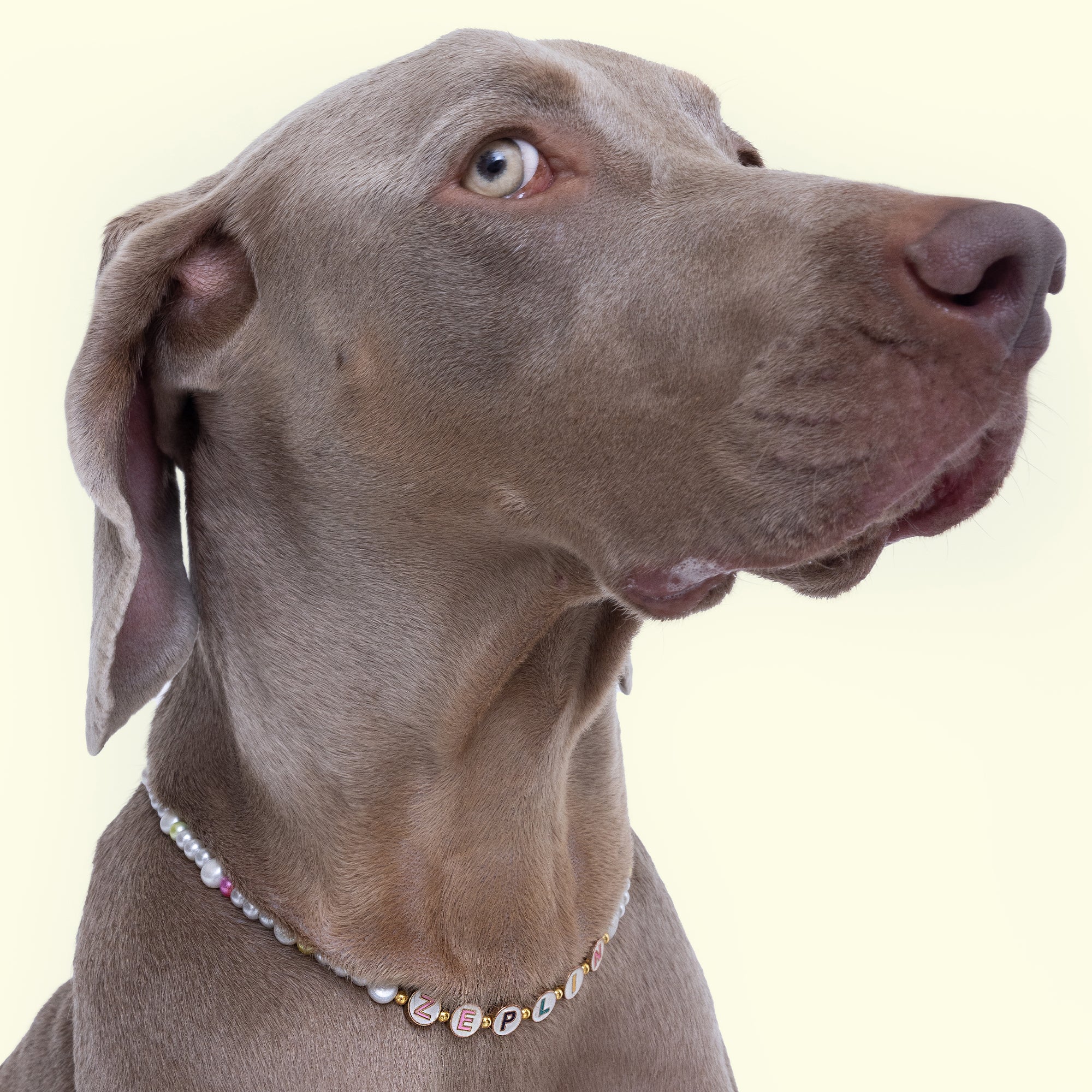 Customizable Freshwater pearl dog necklace