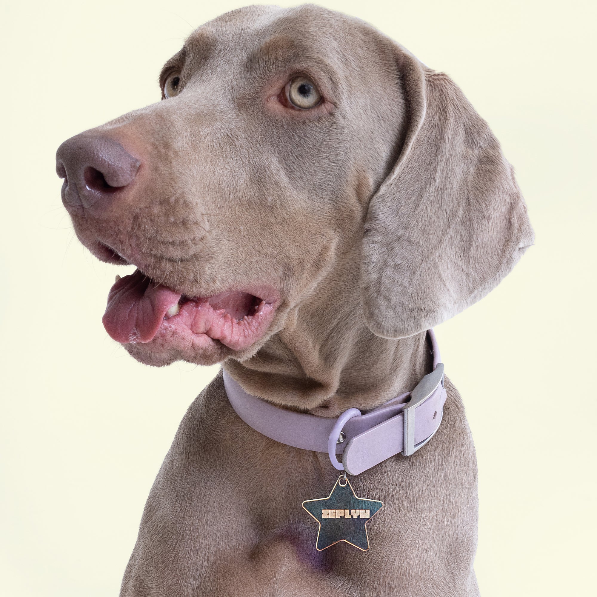 Iridescent Star Dog ID Tag